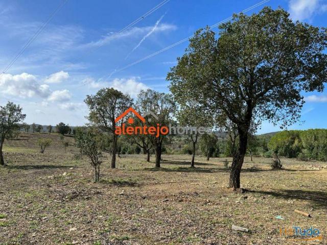 Quinta venda em Grândola, Setúbal