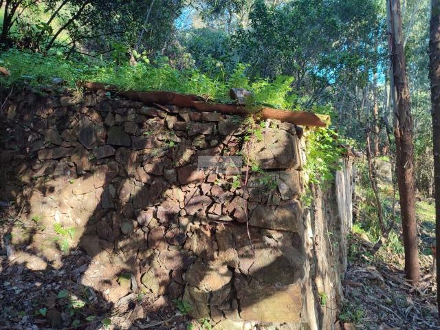 Terreno venda em Monchique, Faro