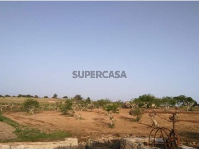 Casa venda em Nisa, Portalegre