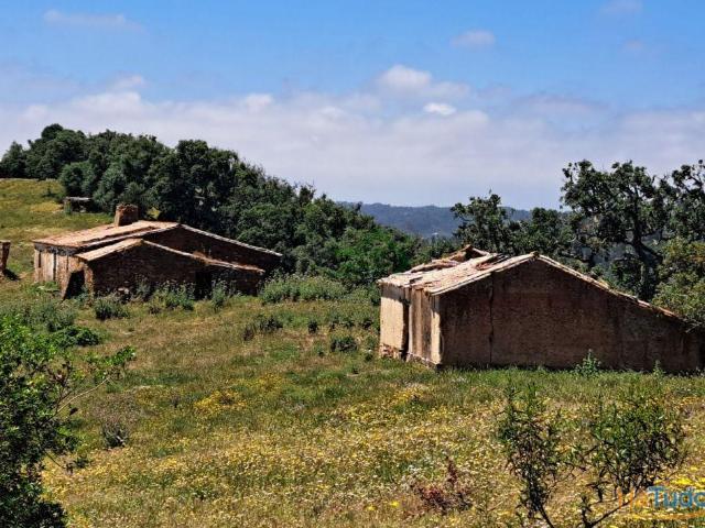 Quinta venda em Odemira, Beja