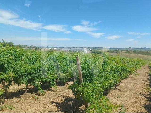 Quinta venda em Lisboa