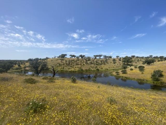 Casa venda em Serpa, Beja