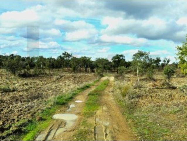 Terreno venda em Mosqueirões, Grândola