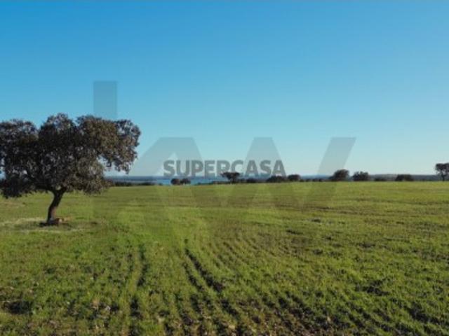 Casa venda em Reguengos De Monsaraz, Évora