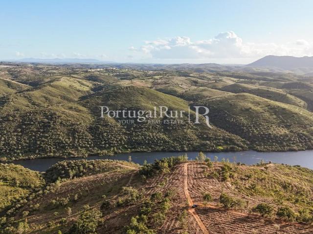 Vivenda venda em Castelo Branco, Vila Velha De Ródão