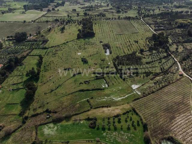 Quinta venda em Castelo Branco