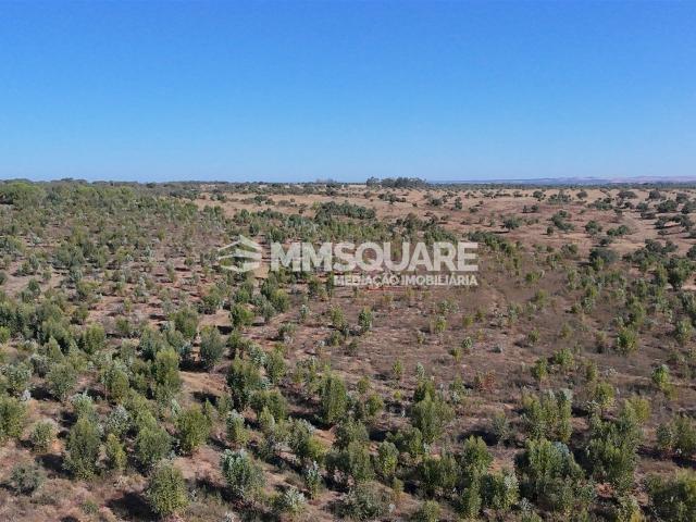 Solar venda em Ourique, Beja