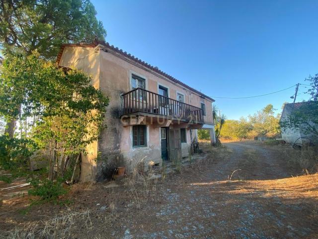 Quinta venda em Castelo Branco