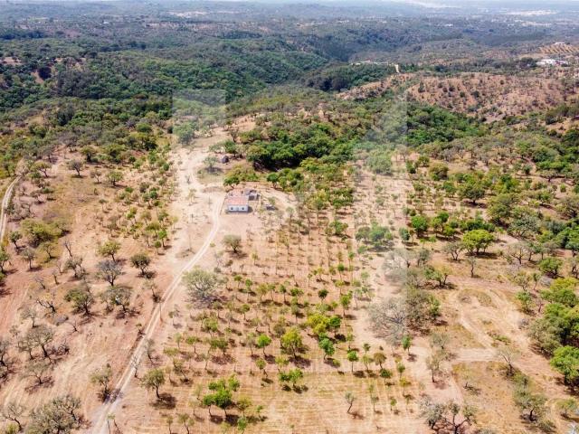 Solar venda em Grândola, Setúbal