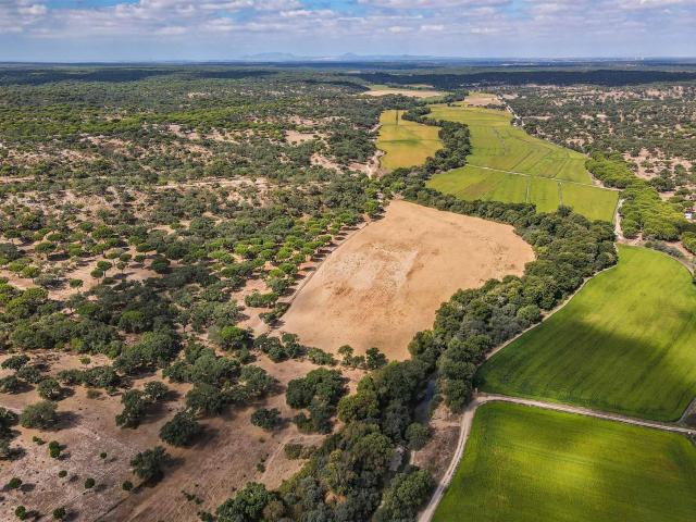 Vivenda venda em Montemor-o-novo, Évora