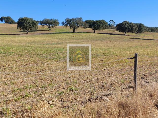 Terreno venda em Albernoa e Trindade, Beja
