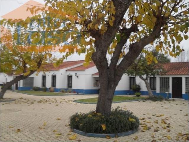 Terreno venda em Abrantes, Santarém