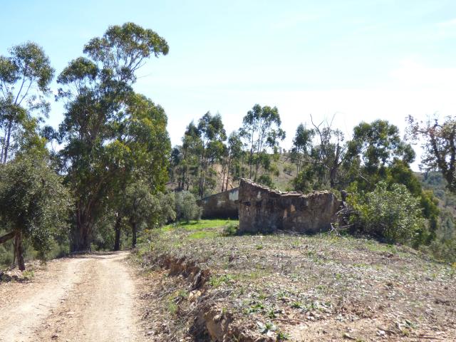 Terreno venda em São Brás De Alportel, Faro