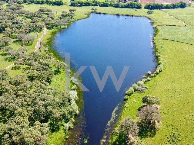 Quinta venda em Montemor-o-novo, Évora