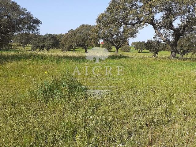 Terreno venda em Ferreira Do Alentejo, Beja