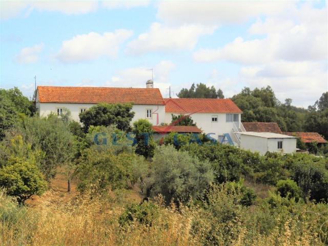 Quinta venda em Rego Da Murta, Santarém