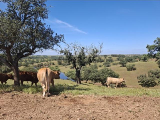 Casa venda em Beja