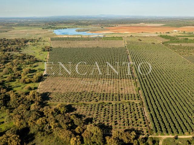 Vivenda venda em Sousel, Portalegre