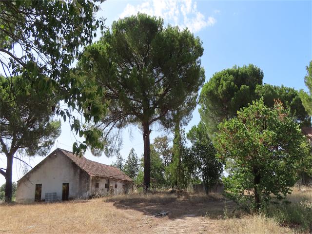 Casa venda em Castelo Branco