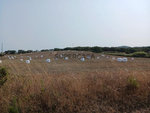 Terreno venda em Santiago Do Cacém, Setúbal