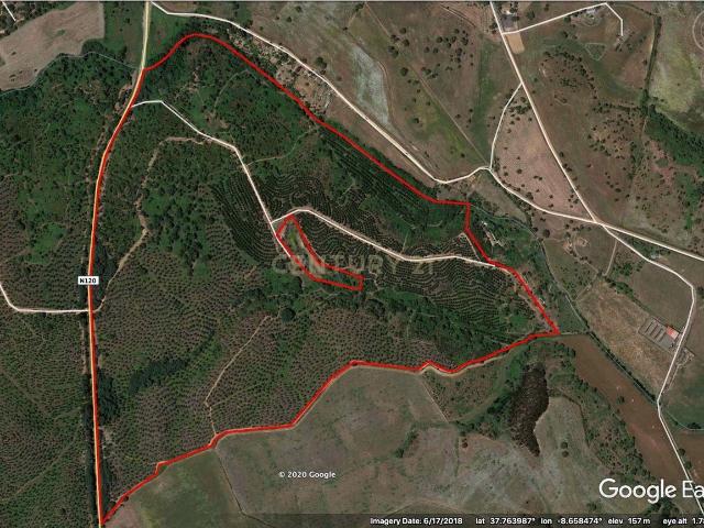 Quinta venda em São Luís, Odemira