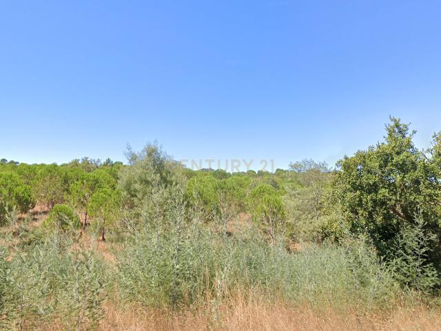 Quinta venda em Cercal, Setúbal