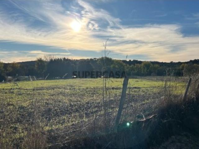 Casa venda em Arraiolos, Évora