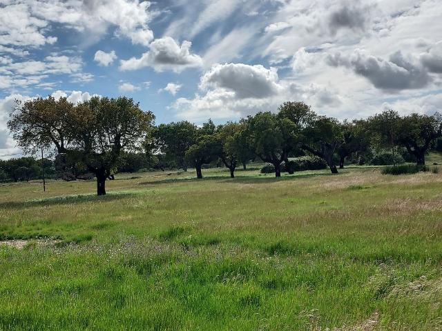 Quinta venda em Elvas, Portalegre