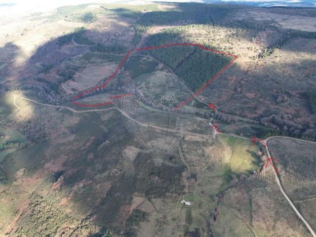 Quinta venda em Guarda