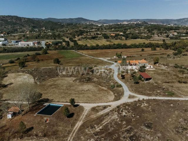 Quinta venda em Castelo Branco