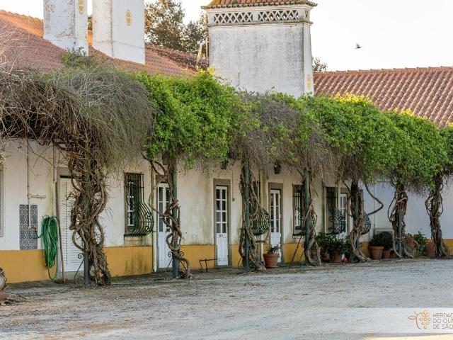 Solar venda em Montemor-o-novo, Évora