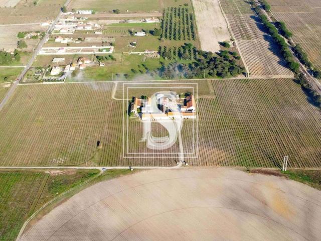 Quinta venda em Palmela, Setúbal