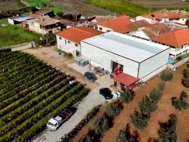 Quinta venda em Rio Torto, Valpaços