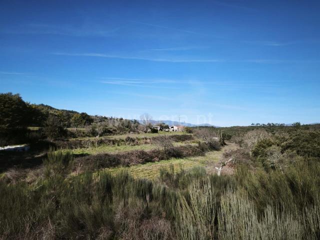Quinta venda em Castelo Branco, Aldeia Nova Do Cabo