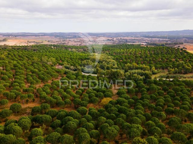 Quinta venda em São Luís, Odemira