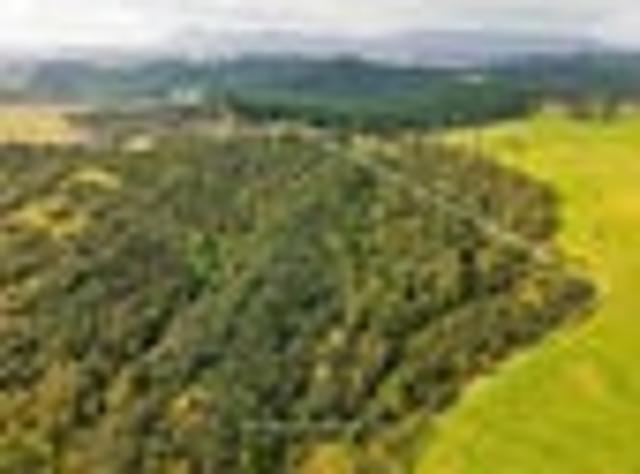 Land for sale in Ohaeawai, Northland
