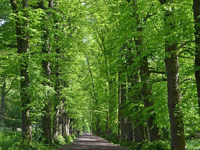 Appartement te huur in De Glip, Heemstede