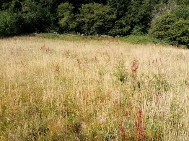 Terrain vente à Rouen, Héricourt-en-caux