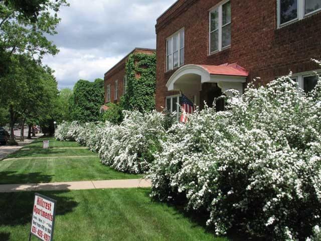 Apartment for rent in South Saint Paul, Dakota County