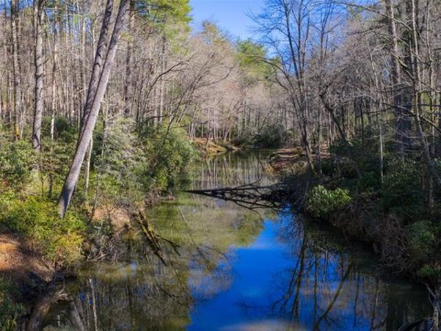 Land for sale in Transylvania, North Carolina