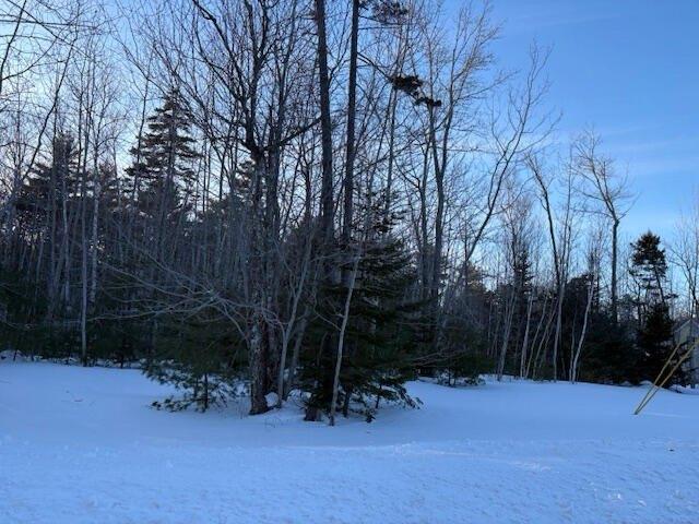 Land for sale in Owls Head, Maine
