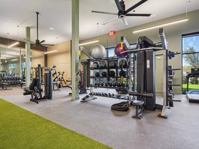 Apartment for rent in Mckinney, Texas