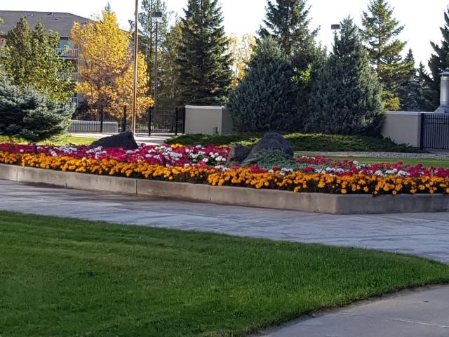 Apartment for rent in Wedgewood, Alberta
