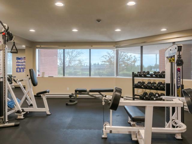 Apartment for rent in Sault Sainte Marie, Ontario
