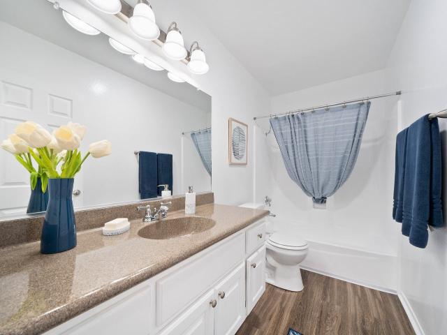 Apartment for rent in Irvine, California