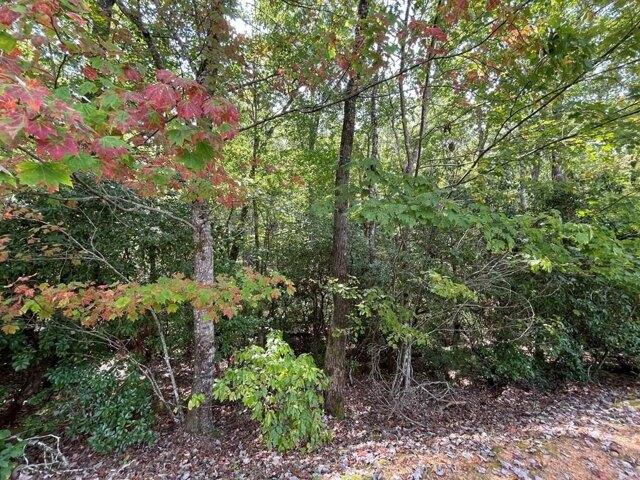Land for sale in Brasstown, North Carolina