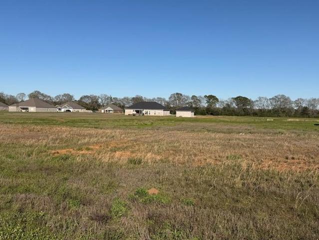 Land for sale in Headland, Alabama