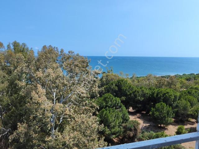 Mezitli, Mersin içerisinde kiralık mülk