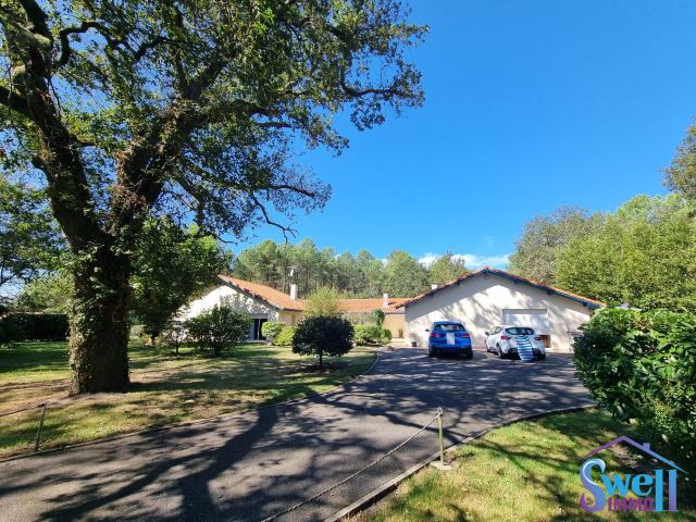 Maison vente à France métropolitaine, Herm