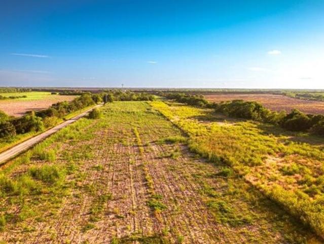 Land for sale in San Benito, Texas